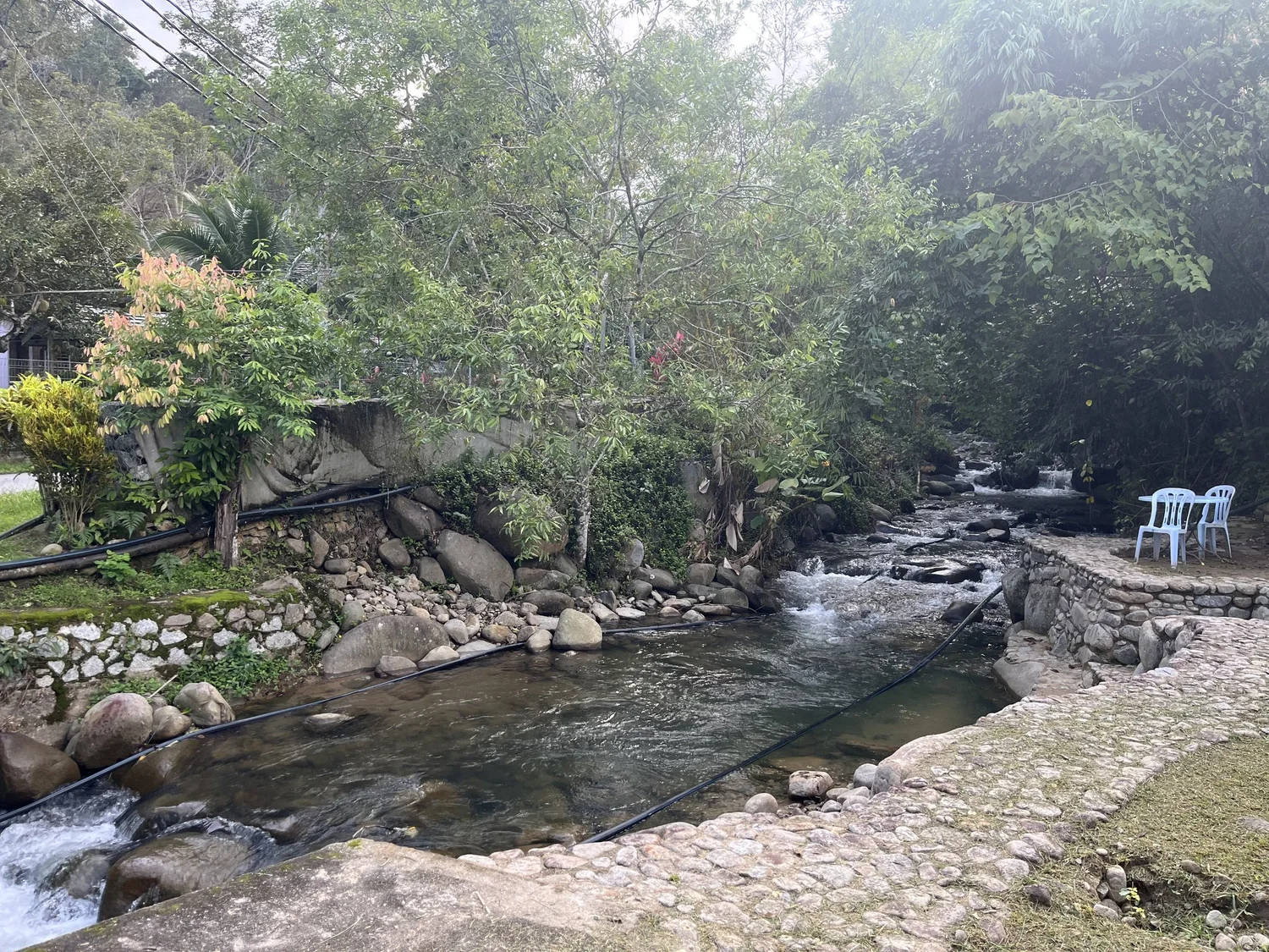 Rocky riverbank shaded by trees